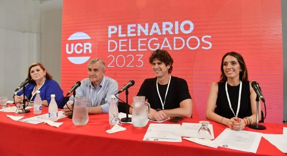 La UCR eligió por unanimidad a Martin Lousteau como presidente