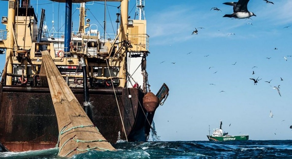 Diputados bonaerenses aprobaron un proyecto que repudia las nuevas restricciones de pesca en Islas M