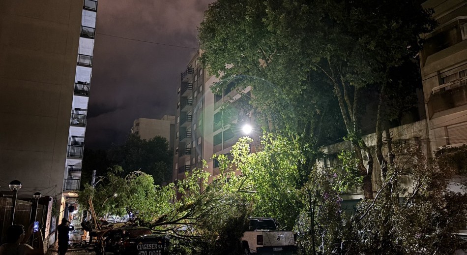 Feroz temporal en Mar del Plata: árboles caídos, autos destrozados e inundaciones