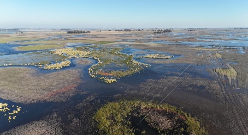 El gobierno prorrogó la emergencia agropecuaria para partidos bonaerenses inundados