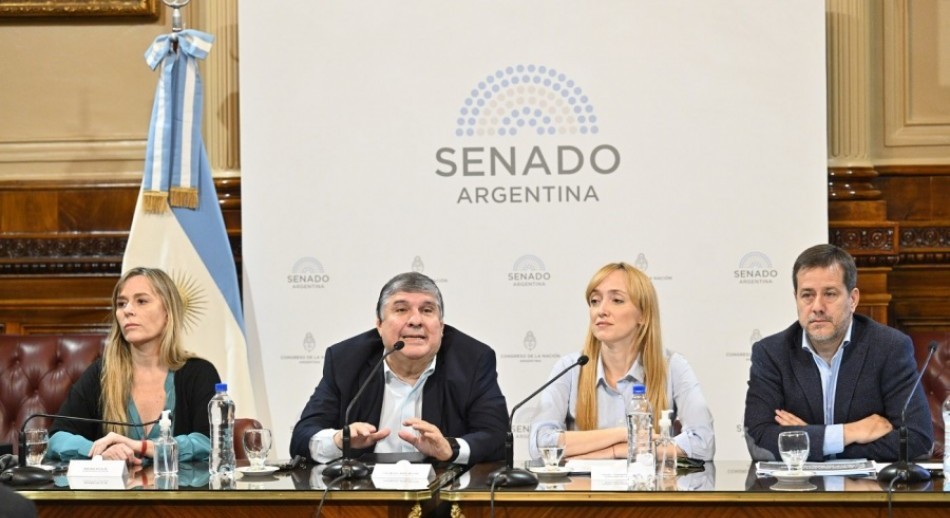 El kirchnerismo presentó en el Senado un proyecto para regularizar deudas previsionales
