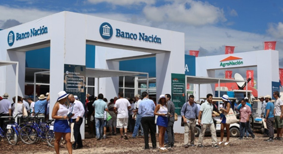 El BNA vuelve a ofrecer la opción de inversión en plazos fijos atados al dólar para el agro